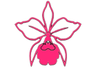 cropped-20230413_213722-2.png
